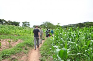 Walking to Joyce's Baptism